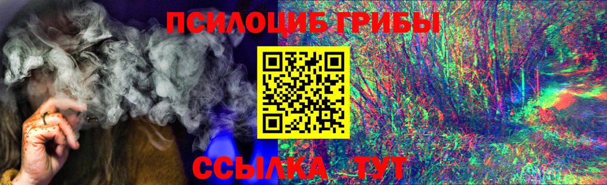 Галлюциногенные грибы Cubensis Коряжма