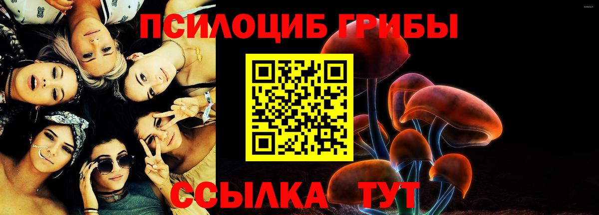 Псилоцибиновые грибы GOLDEN TEACHER  Вход с VPN  Коряжма 